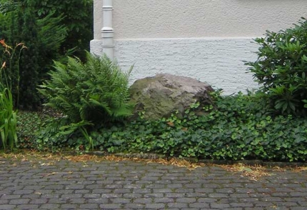 Bild 2 von Findling Hermann-Kirchhoff-Str. 2